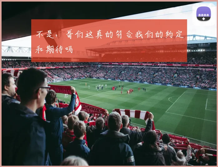 不是，哥们这真的符合我们的约定和期待吗