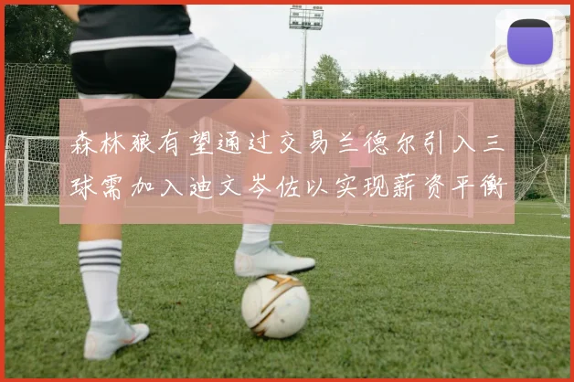 森林狼有望通过交易兰德尔引入三球需加入迪文岑佐以实现薪资平衡